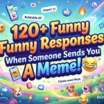 Funny Responses When Someone Sends You a Meme